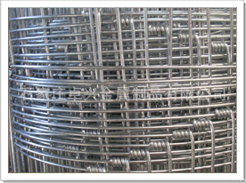 熱鍍鋅草原網(wǎng) 優(yōu)質(zhì)草原防護(hù)網(wǎng)價格、廠家與產(chǎn)品介紹